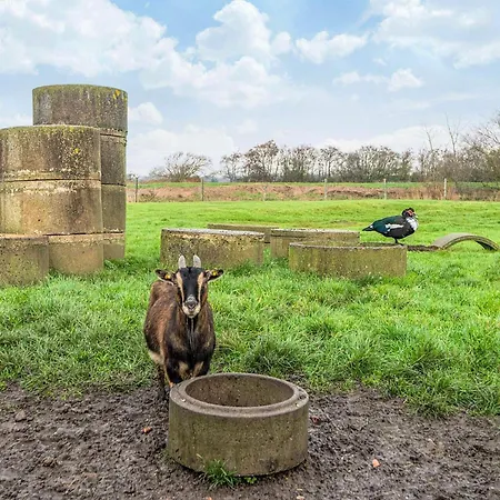 Ferienhaus 4 Person In *