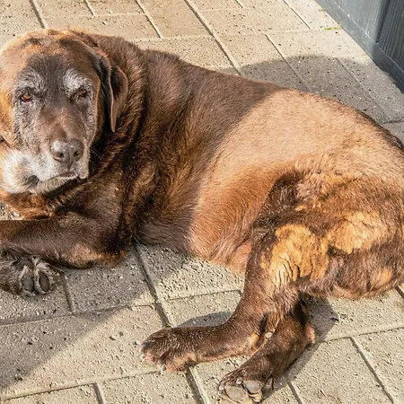 Ferienhaus 4 Person In Højer