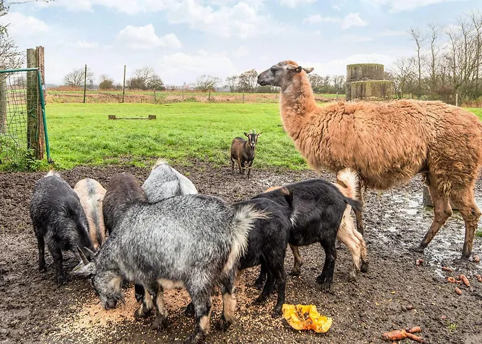 4 Person In 度假居 Højer